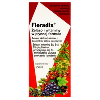 Floradix Żelazo i Witaminy, suplement diety, 250 ml