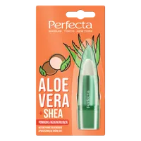 Perfecta Aloe Vera pomadka regenerująca do ust z aloesem i masłem shea,  5 g