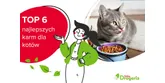 Najlepsze karmy dla kotów – ranking produktów
