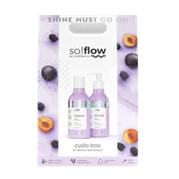 VisPlantis so!flow Zestaw kosmetyków do włosów farbowanych Cudo Box szampon i odżywka, 400 ml + 400 ml