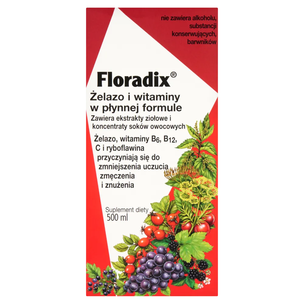 Floradix Żelazo i Witaminy, suplement diety, 500 ml