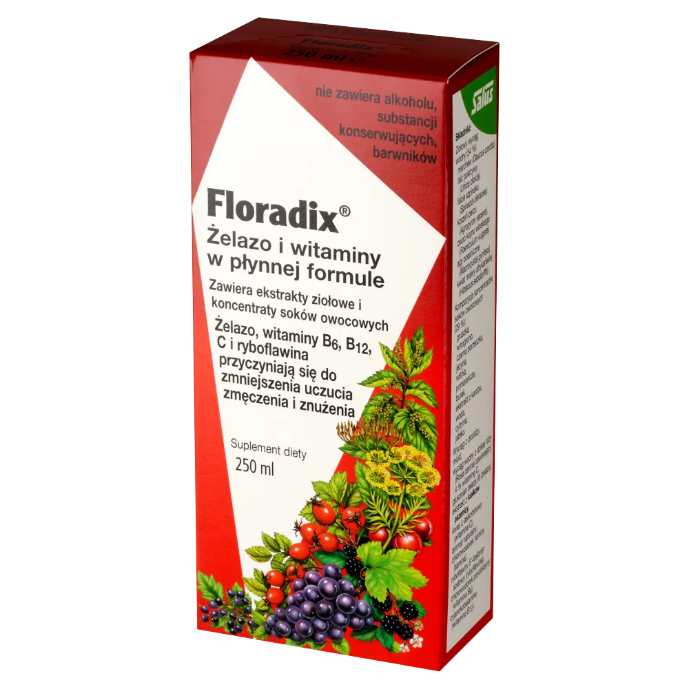 Floradix Żelazo i Witaminy, suplement diety, 250 ml 