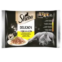 Sheba Delicacy Mokra karma w galaretce dla kotów dorosłych smaki drobiowe, 4x85g