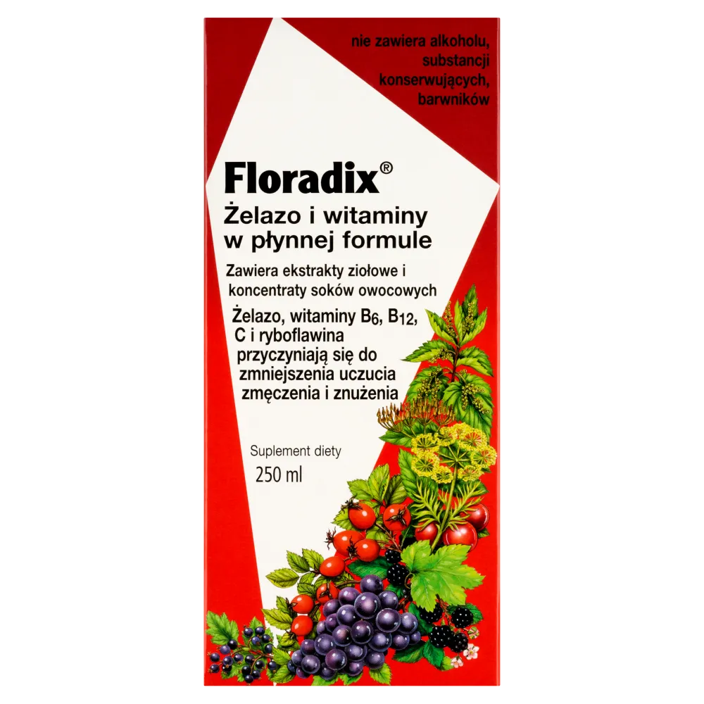 Floradix Żelazo i Witaminy, suplement diety, 250 ml 
