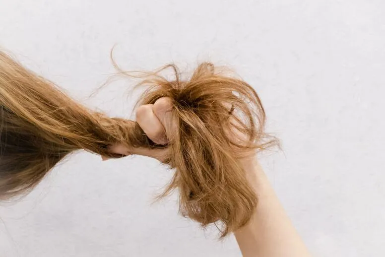 Suche końcówki włosów – jak zadbać o przesuszone końcówki?