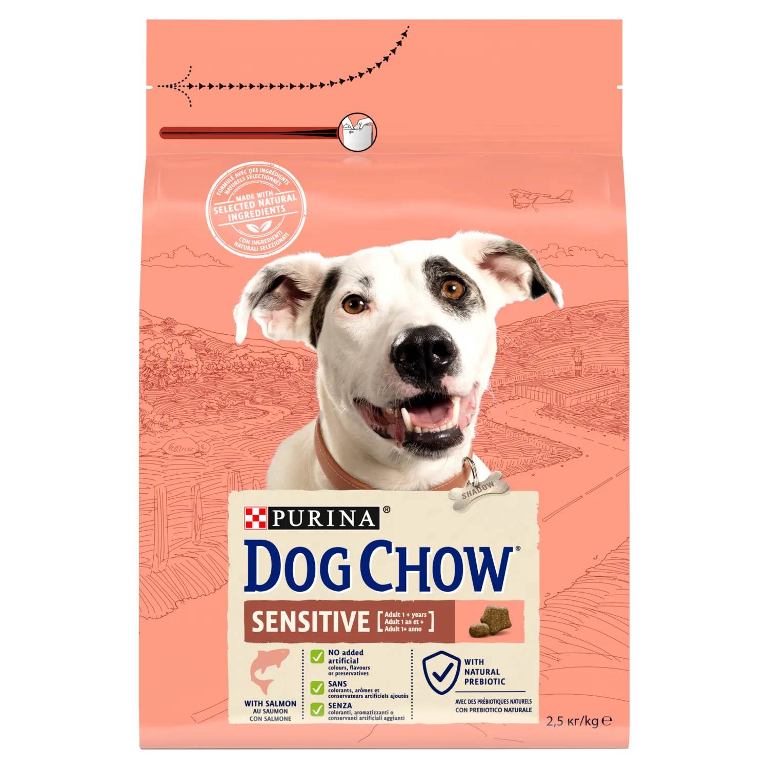 Purina Dog Chow Sensitive sucha karma dla psów z łososiem, 2,5 kg