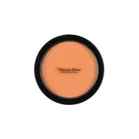 Pierre Rene Professional Compact Powder puder kamienny 10, 8 g