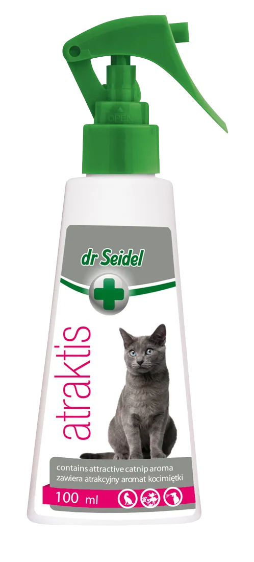 dr Seidel Atraktis preparat z kocimiętką dla kotów, 100 ml