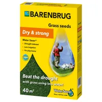 Barenbrug Water Saver Dry & Strong nasiona trawy odpornej na przesuszenie, 1 kg