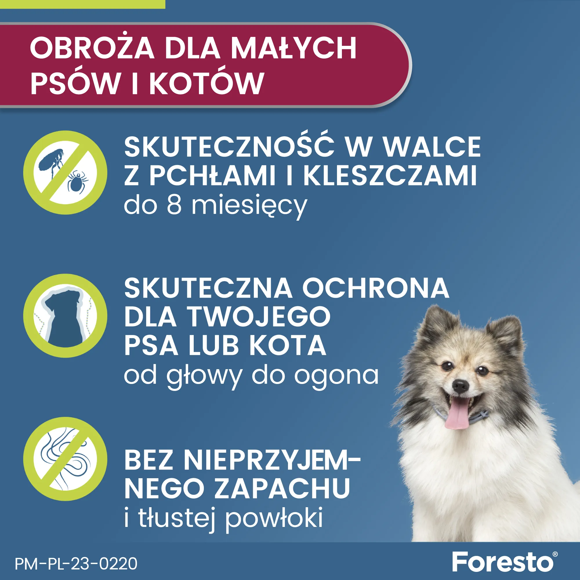 Foresto, 1,25 g + 0,56 g, obroża dla kotów i psów ≤ 8 kg, 1 sztuka 