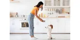 Dieta dla psa – jak dobrać i zbilansować dietę dla swojego pupila?