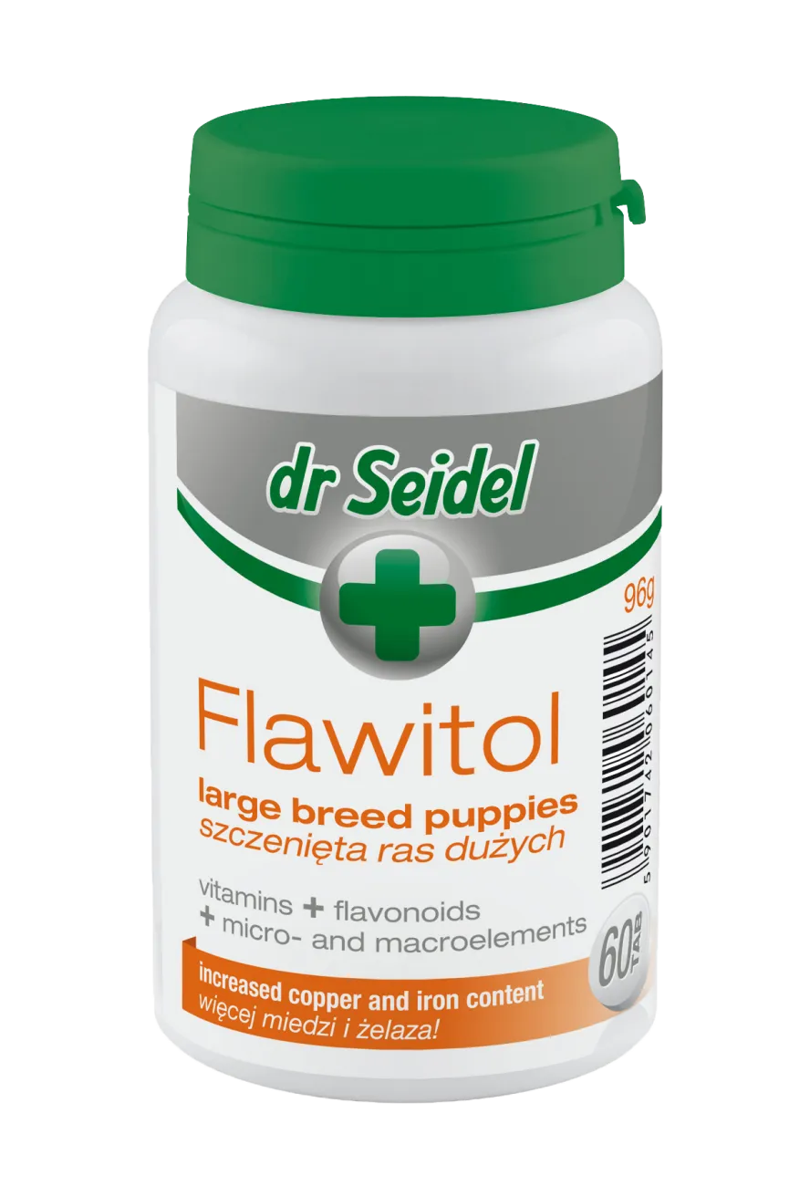 dr Seidel Flawitol Suplement diety dla szczeniąt ras dużych, 60 szt.